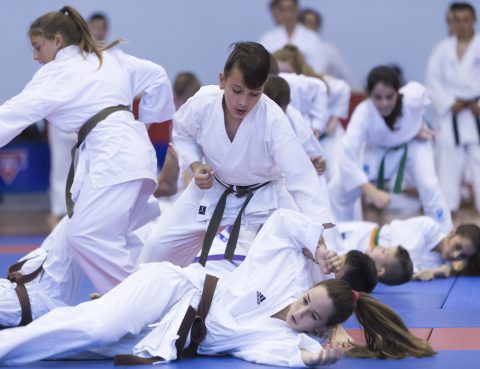 Tenafly Dojo - Tenafly Shukoka Karate
