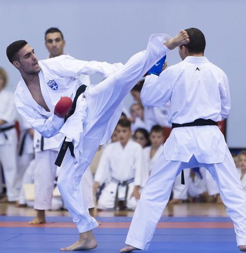 Tenafly Dojo - Tenafly Shukoka Karate